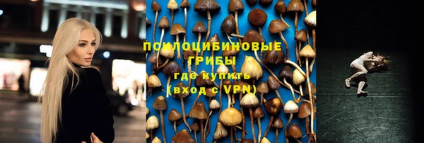 круглые Новодвинск